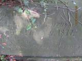 image of grave number 366114